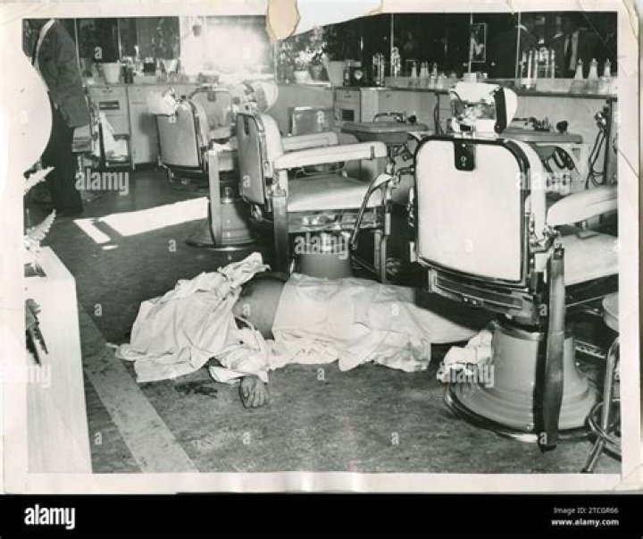 Albert Anastasia Biography - Facts, Childhood, Family Life & Achievements