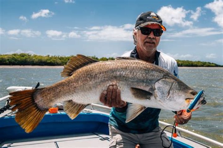 Dr. Albert Bundy, MD – Hilton Head, SC