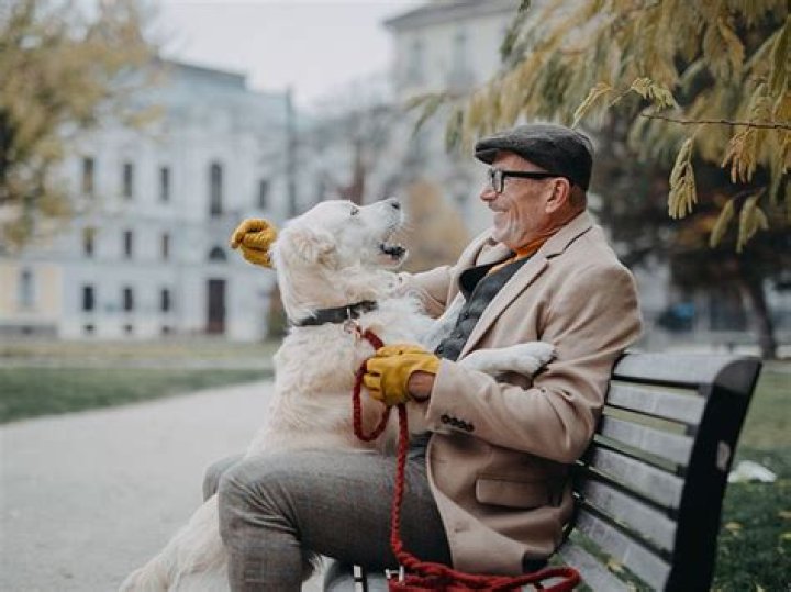 Dr. Ali Chahlavi, MD – Jacksonville, FL