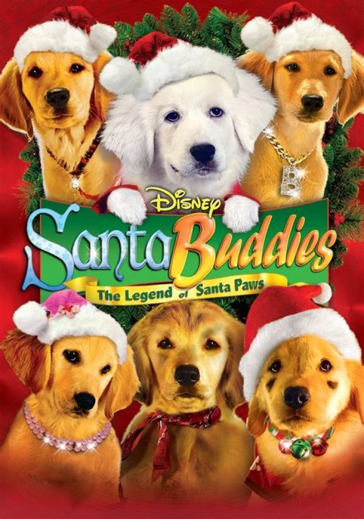Are the dogs in Santa Buddies real? – Celebrity