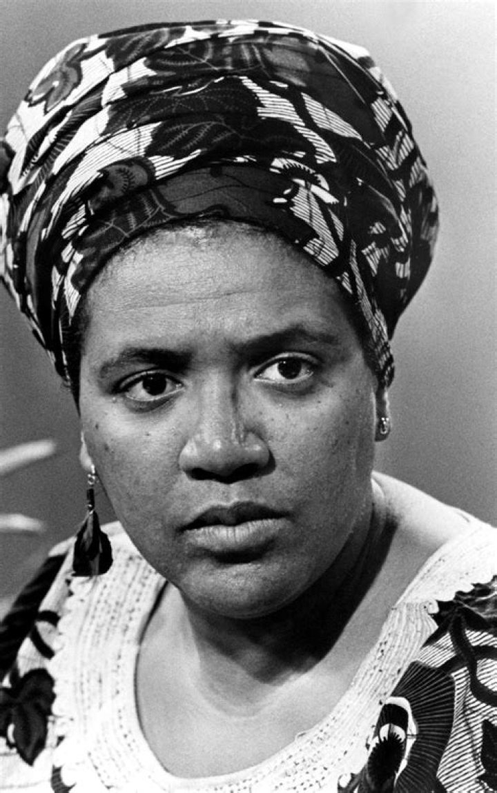 Audre Lorde Biography - Facts, Childhood, Family Life & Achievements