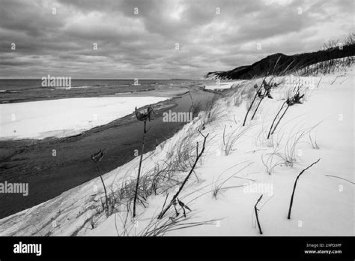 Famous Blacks (African-Americans) From Michigan