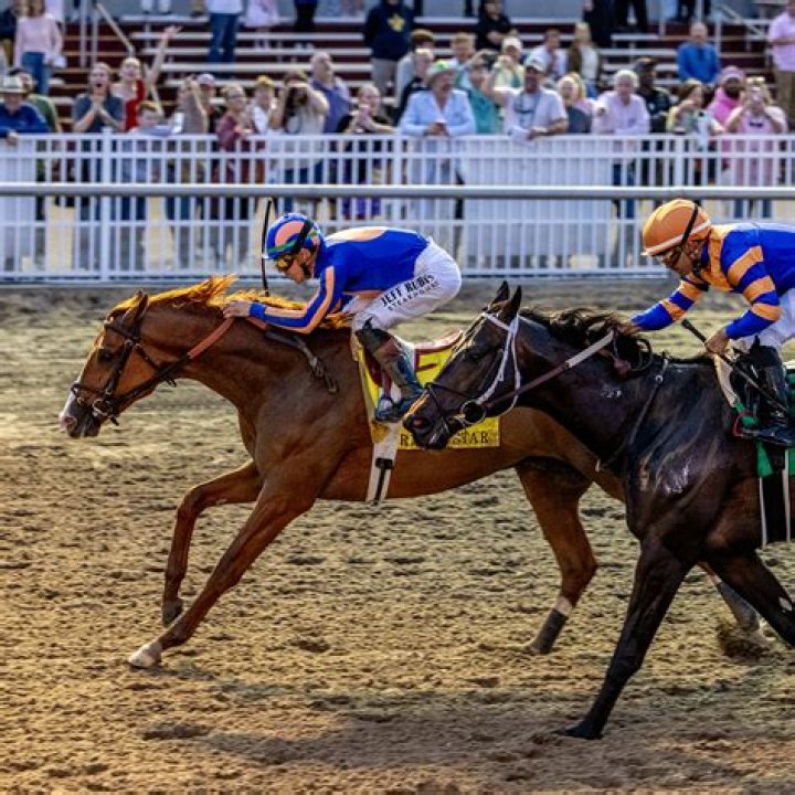 Bob Baffert Biography - Facts, Childhood, Family Life & Achievements