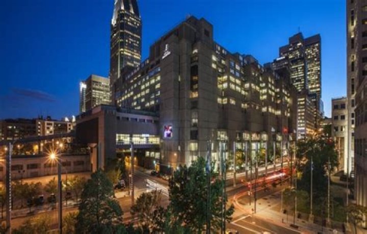 Bonaventure Biography - Facts, Childhood, Family Life & Achievements