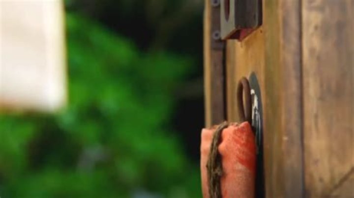 Can a ‘Survivor’ castaway steal another contestant’s Hidden Immunity Idol or advantage on season 45?