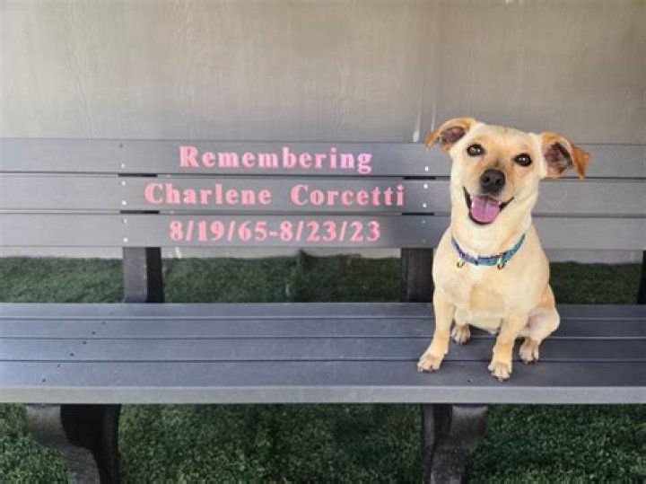 Charlene Corcetti Obituary Armstrong County PA, Funerals