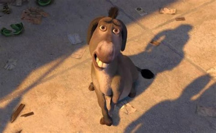 ¿Cómo se llama el burro de Shrek en español? – Celebrity