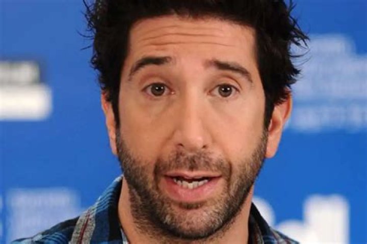 David Schwimmer Responds To The Criticism He Received For Supposedly Snubbing ‘Living Single’