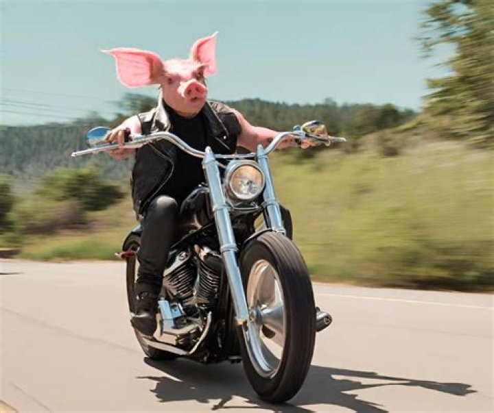 Did they really ride motorcycles in Wild Hogs? – Celebrity