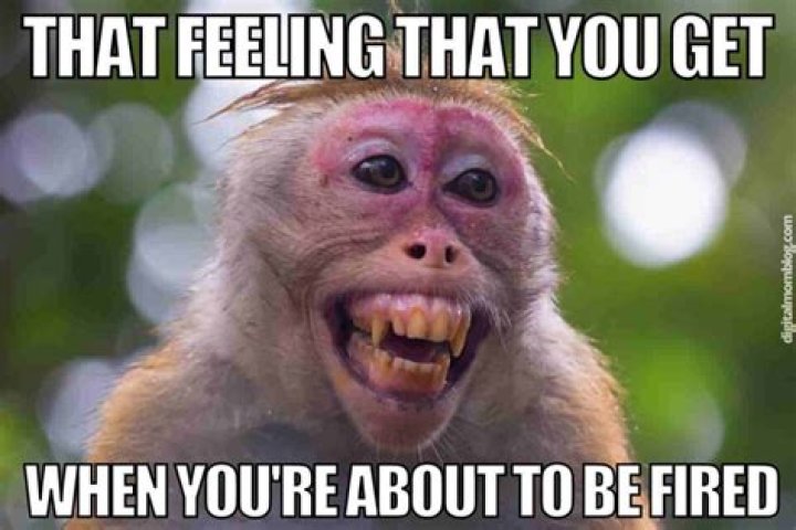 Did Tristan Harris Get Fired From Google? – Celebrity