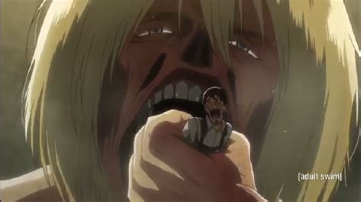 Does Armin Eat Bertholdt? – Celebrity