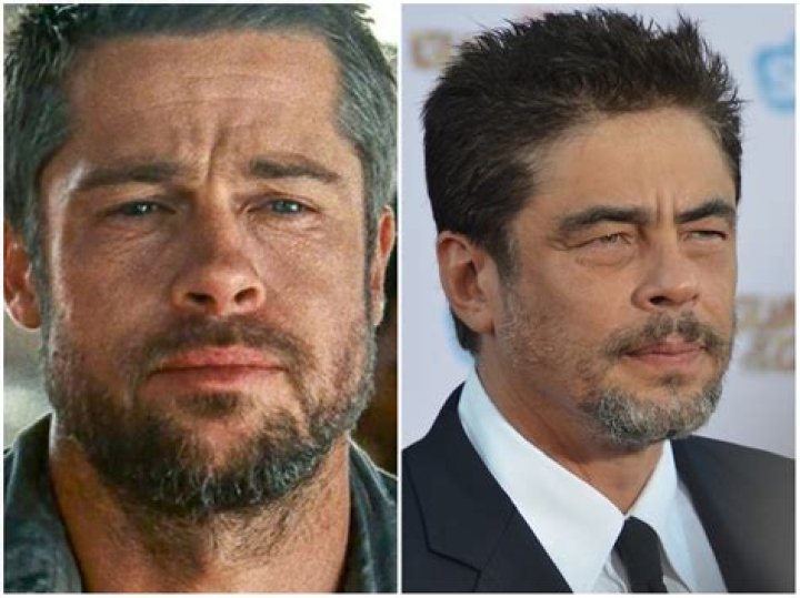 Does Karl Urban look like Brad Pitt?
