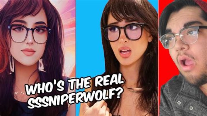 Does SSSniperWolf go to school?