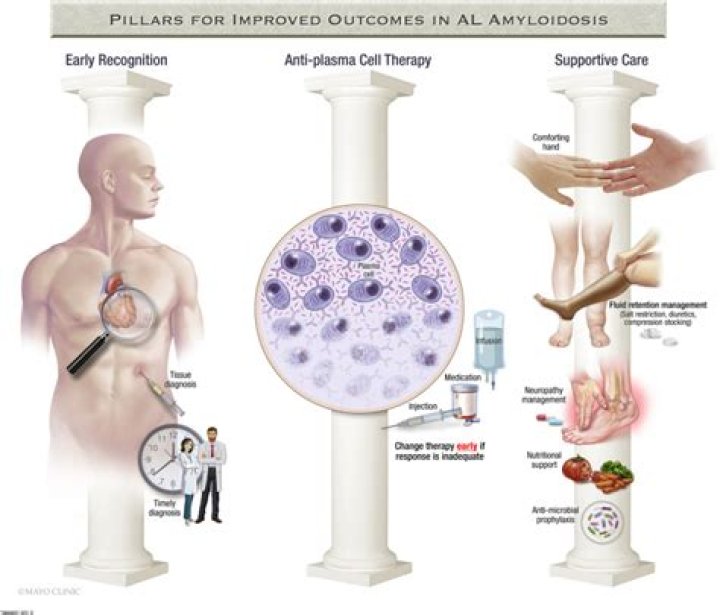 Dr. Eli Muchtar, MD – Rochester, MN