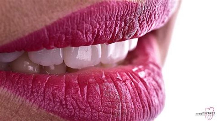 Dr. Elizabeth Triana, MD – Port Charlotte, FL