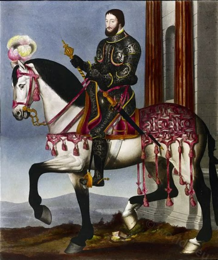 Francis I Of France Biography