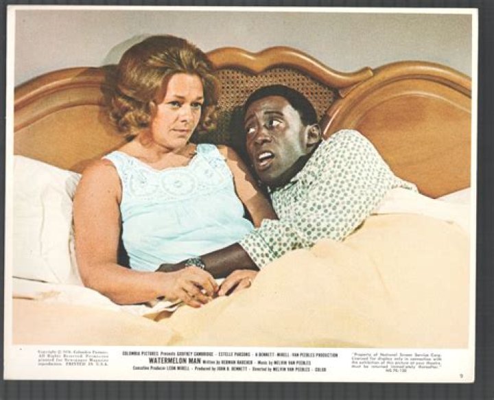 Godfrey Cambridge - Bio, Facts, Family Life, Achievements