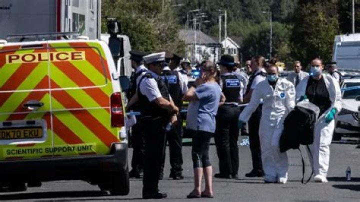 GoFundMe; Who Was Brandon Thomas? Brandon died in Schenley Park stabbing –