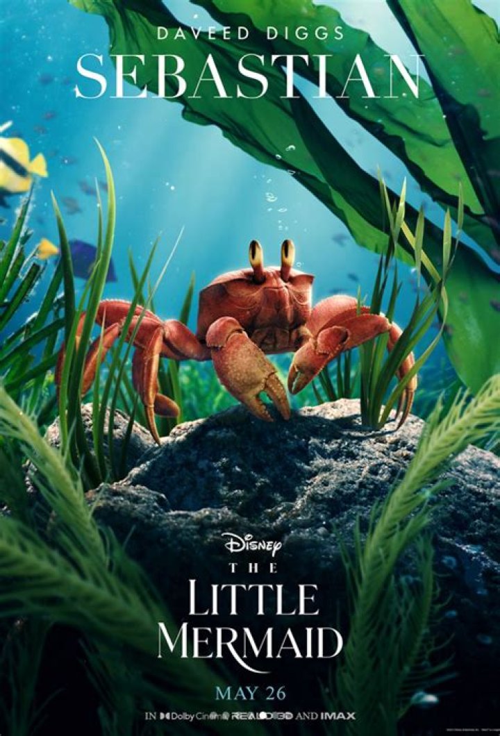 Halle Bailey shares live-action ‘Little Mermaid’ poster