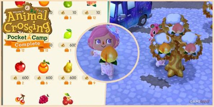 How Do You Get All The Fruit In Animal Crossing Without Friends? – Celebrity