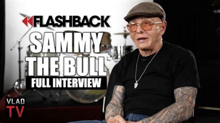 How Much Money Did Sammy The Bull Make? – Celebrity