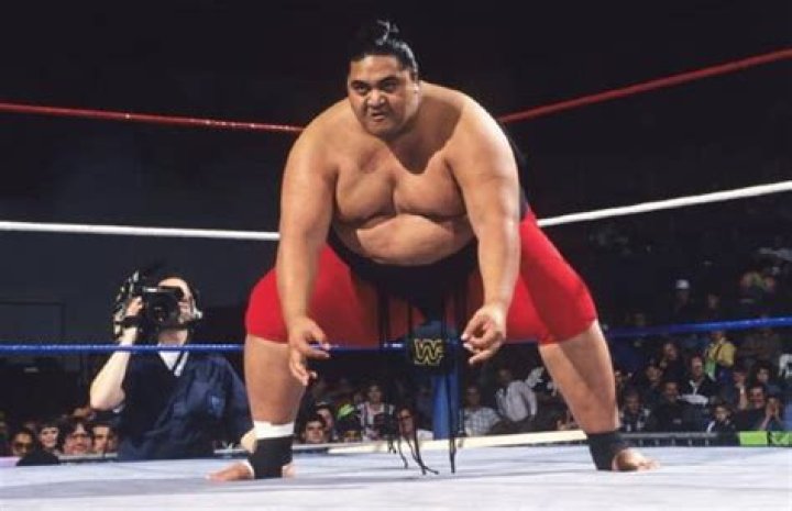 
How Much Money Does Yokozuna (Wrestler) Make? Latest Income Salary
