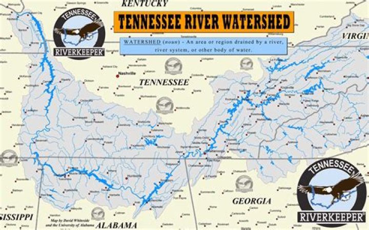 How much water is in the tennessee river