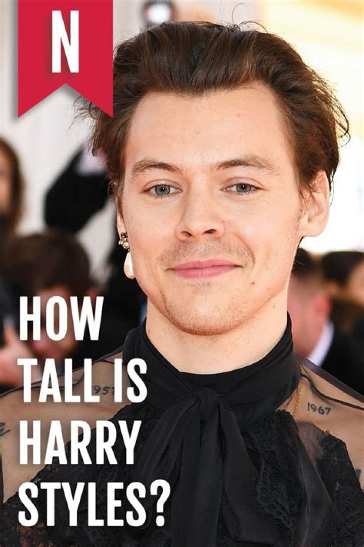 How Tall Is Harry Styles?