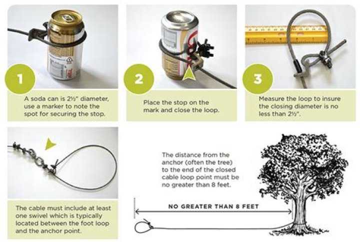 How to open a bear trap