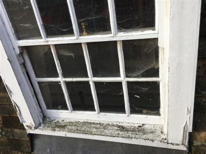 How to open painted shut windows