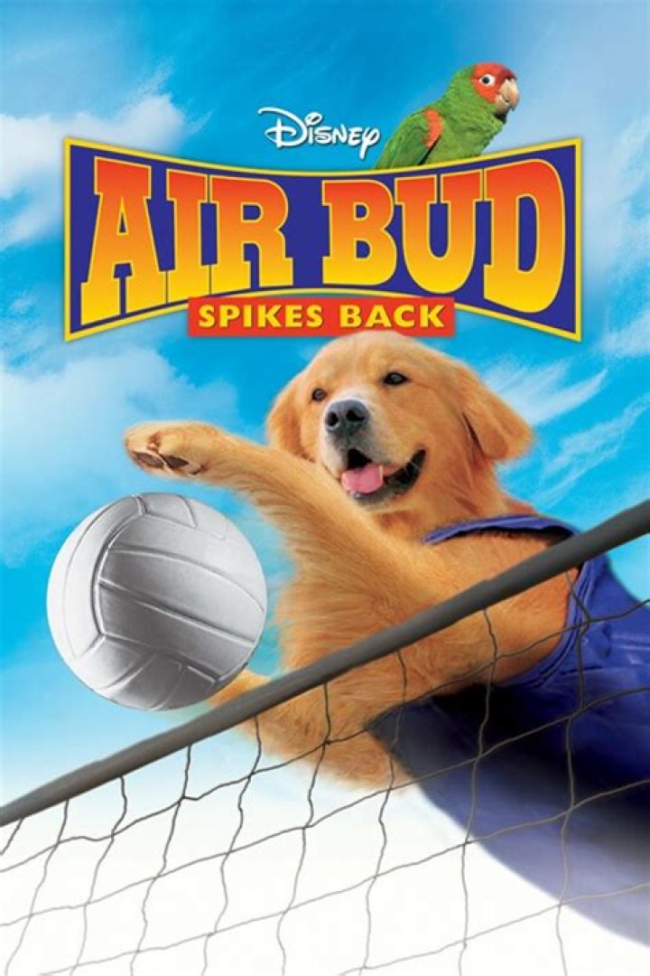 Is Air Buddies on Disney+ PLUS? – Celebrity