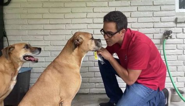 Is Owen Conflenti Leaving KPRC, Where Is He Going To Work?