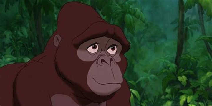 Is the gorilla in Tarzan a girl or boy? – Celebrity