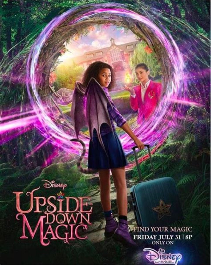 Is there a Upside-Down Magic 2 movie? – Celebrity