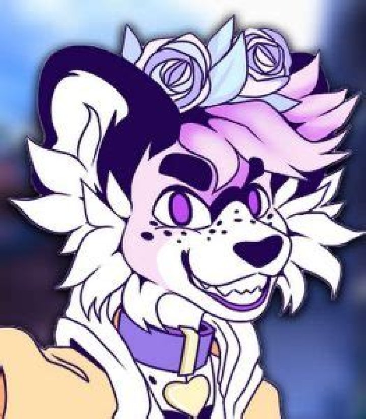 Is Youtuber Sappho Zoo Arrested? Twitter Police Reveal Charges, What Happened To Her?