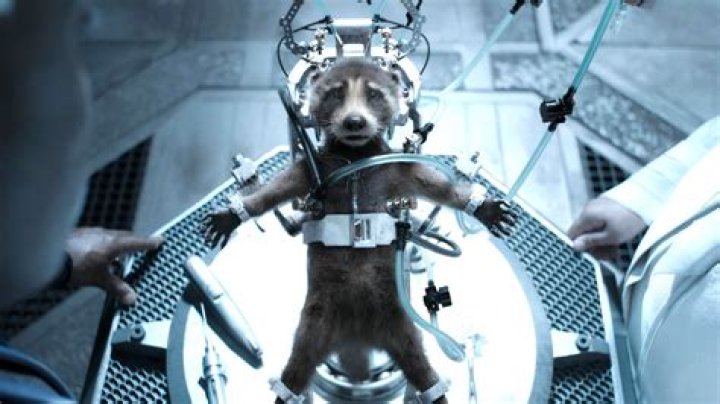 ‘It makes some sense, right?’: Sean Gunn gives credence to major Rocket Raccoon theory post ‘Guardians of the Galaxy Vol. 3’