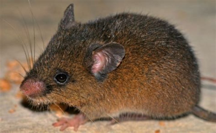 Jennifer Serna – Cherry Hill, NJ