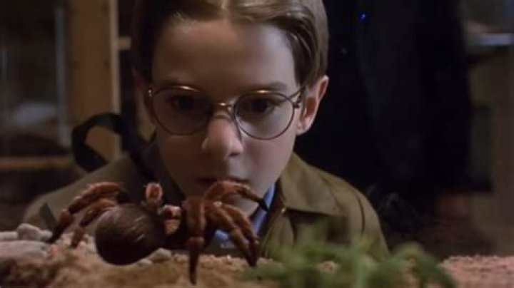 Kill it with fire: The most skin-crawling spider movies ever made