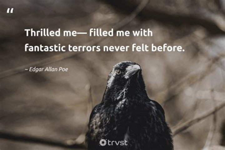 Lars Von Trier’s Nymphomaniac Quotes Edgar Allan Poe In Fourth Teaser, Delirium