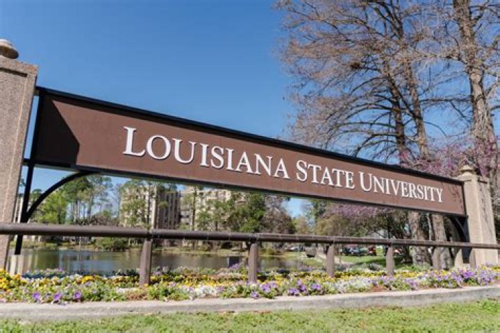 Luke Falgoust Dies By Drug Overdose , Baton Rouge Louisiana State University Student