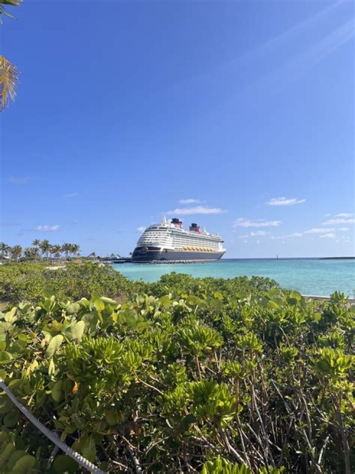 Madelyn Ptak Death, Obituary, Travel Agent at Marvelous Mouse Travels