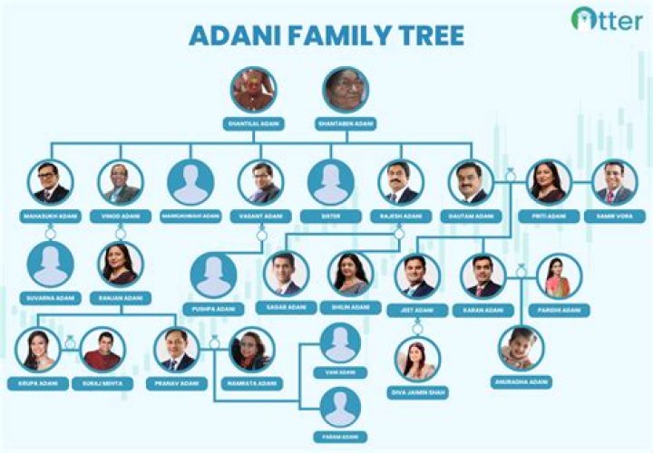 Mahasukh Adani : 12 key facts you need to know