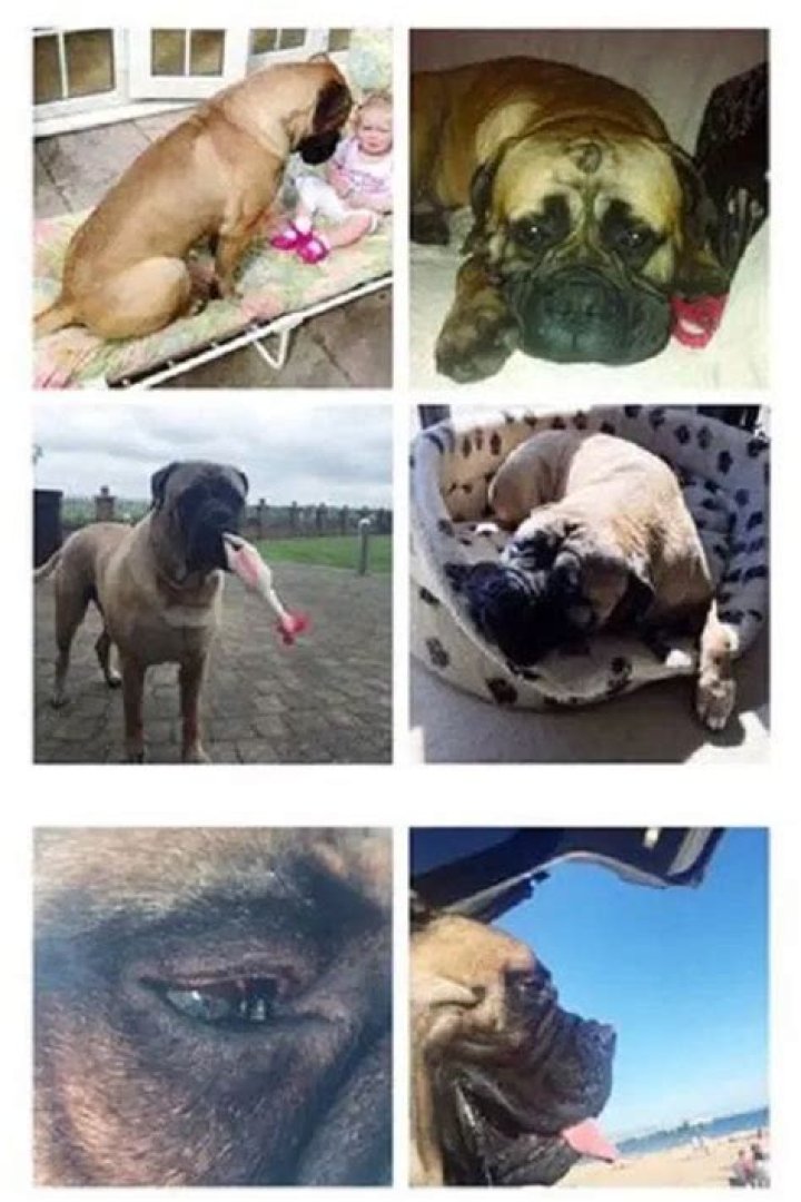 Meet Gorgeous Wife of Footballer Dion Dublin – Louise Dublin