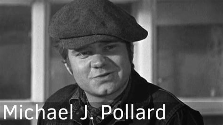 Michael J. Pollard Net Worth, Income, Salary, Earnings, Biography