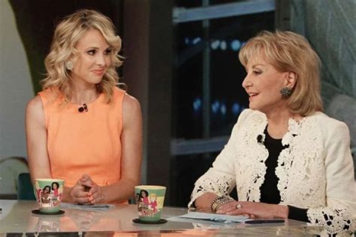 New Details Emerge On Elisabeth Hasselbeck’s Shocking Meltdown Over Barbara Walters On The View