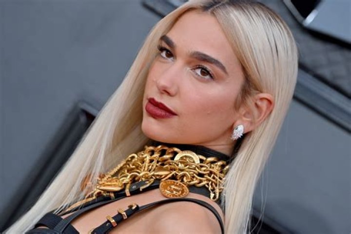 Dua Lipa in Bathing Suit is Feeling "Caaaaaaalm" — Celebwell