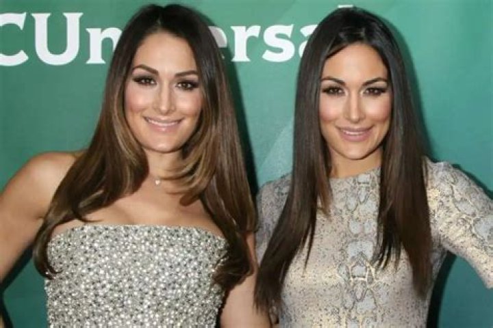 Nikki Bella Has The Best Teacher For Adapting To Motherhood — Her Sister Brie Bella!