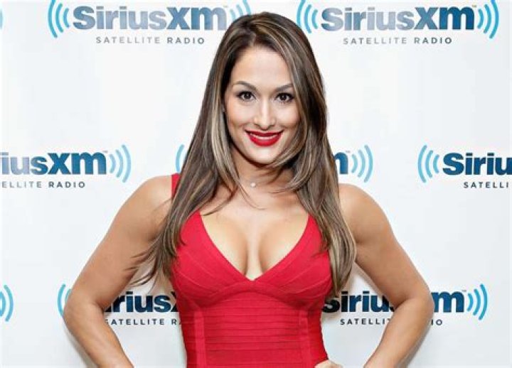 Nikki Bella Shares A Happy Birthday Message For Artem Chigvintsev