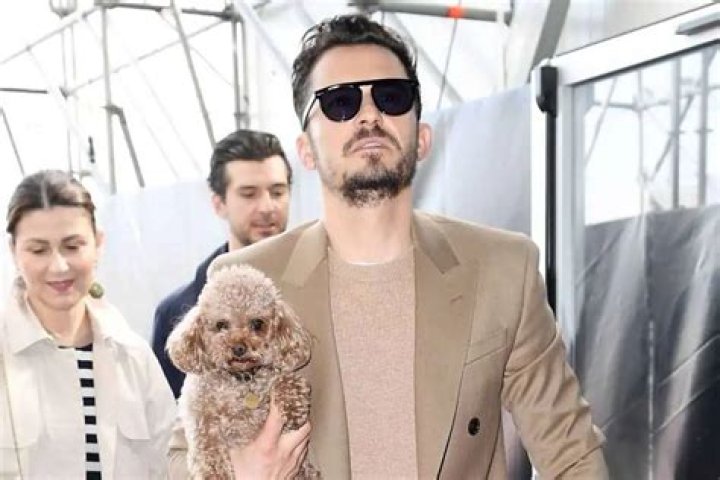 Orlando Bloom Posts Emotional Message About His Missing Dog