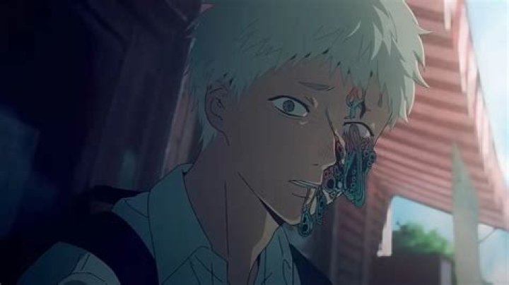 Patrick Calhoun Mays, of Davidson Died in a Monday night collision.